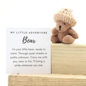 Pocket Bear - small brown bear