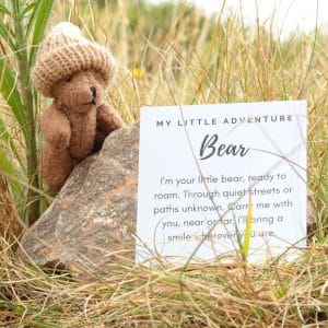 Pocket Bear - small brown bear