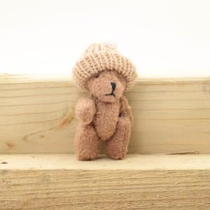 Pocket Bear - small brown bear