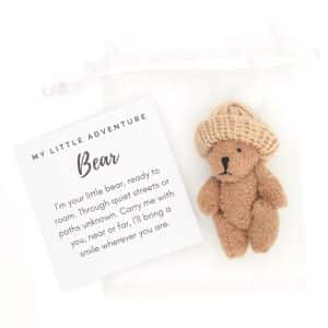 Adventure Bear - little pocket bear